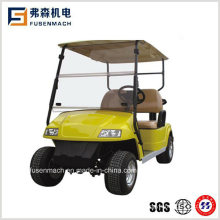 2 Seater Mini Electric Golf Carts with Ce